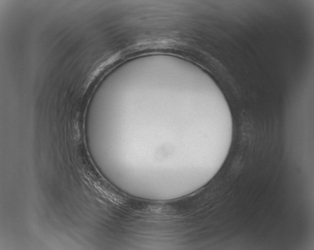 X0000085081218200703261249