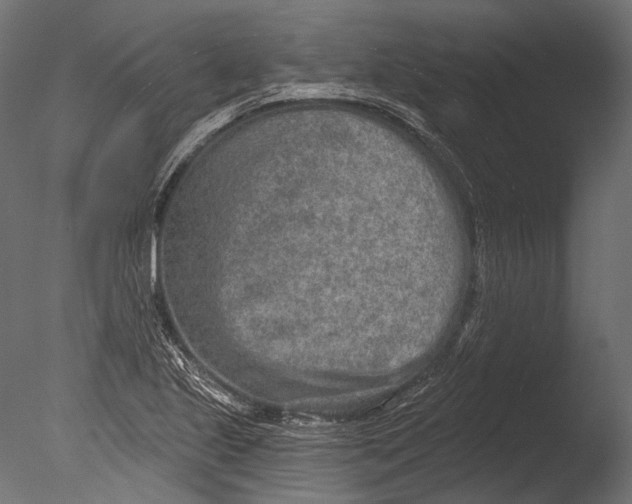 X0000085081221200703261249