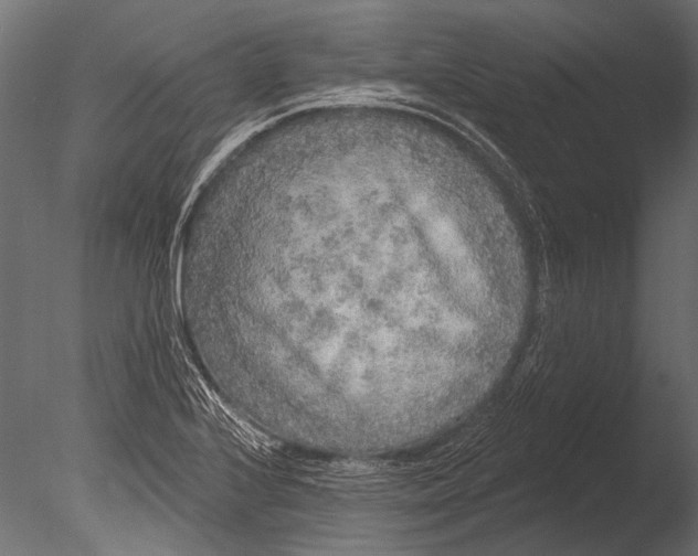 X0000085081224200703261249