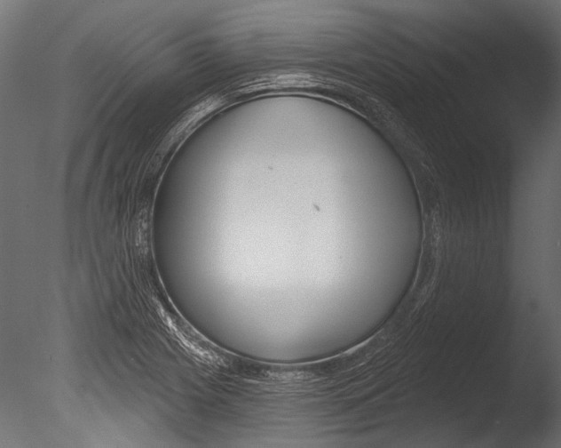 X0000085081225200703261249