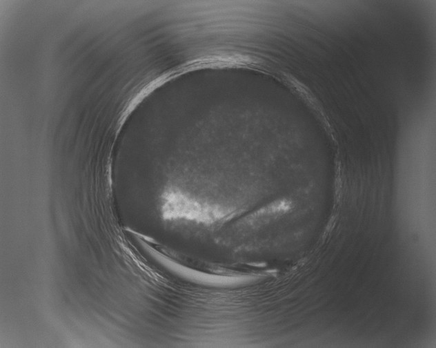 X0000085081226200703261249