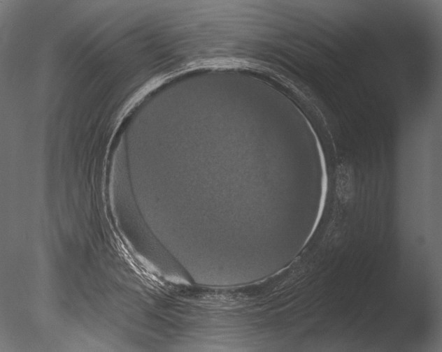 X0000085081229200703261249