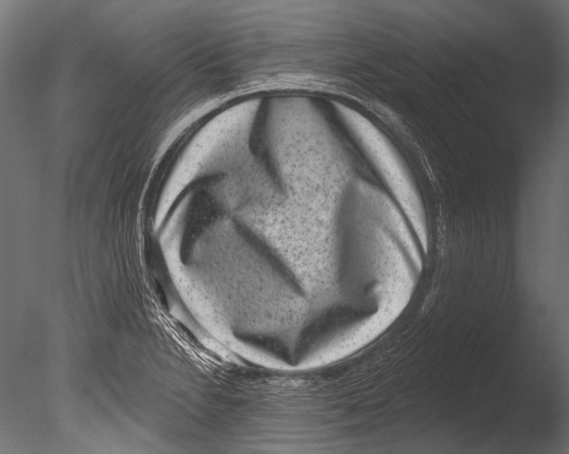 X0000085081230200703261249