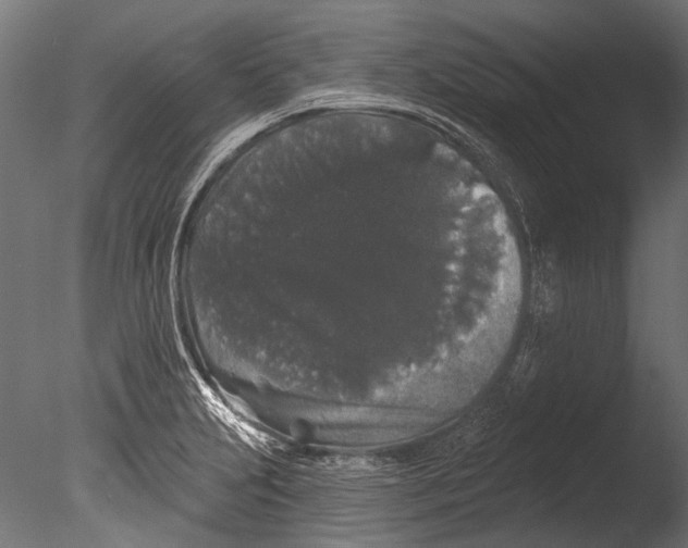 X0000085081231200703261249