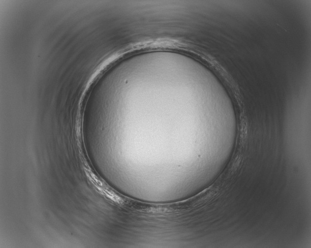 X0000085081232200703261249