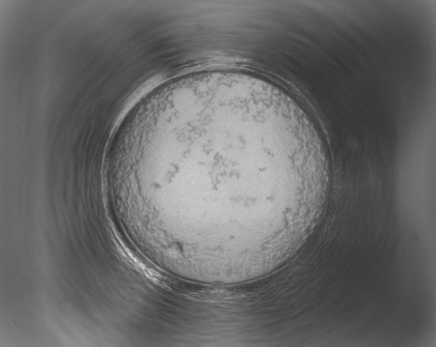 X0000085081235200703261249