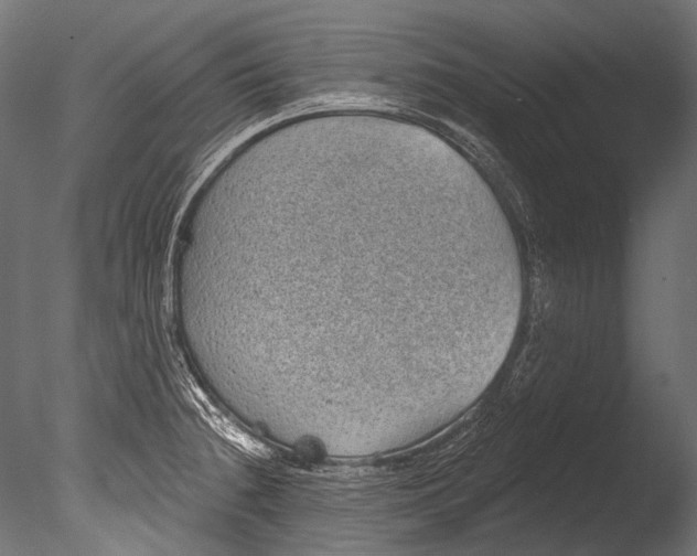 X0000085081236200703261249