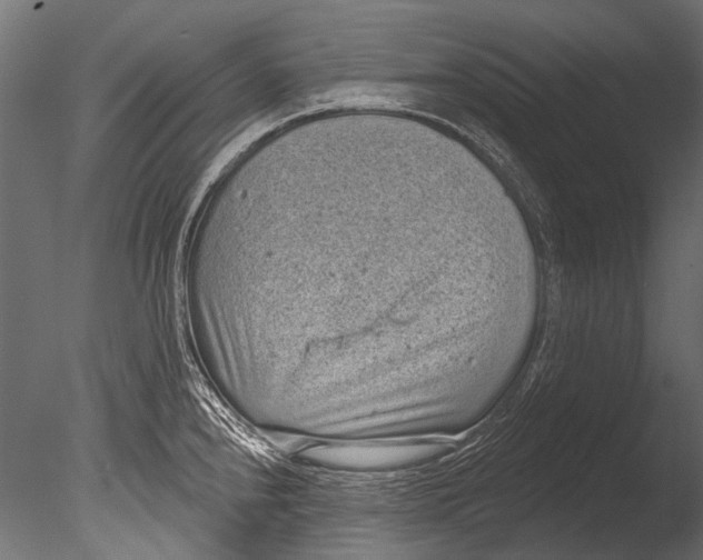 X0000085081240200703261249