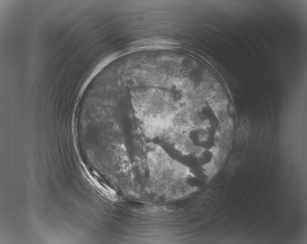 X0000085081243200703261250