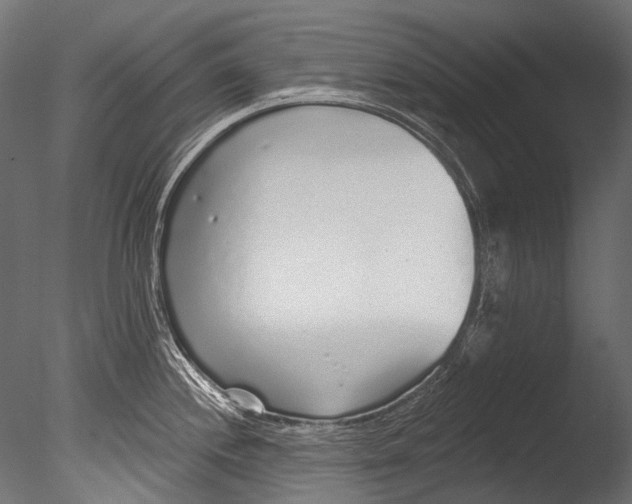 X0000085081244200703261250