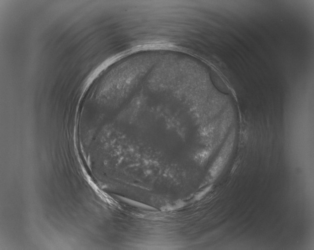 X0000085081245200703261250