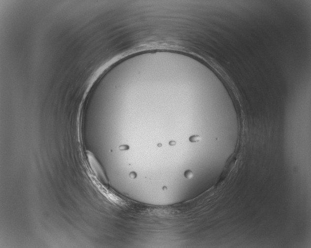 X0000085081246200703261250