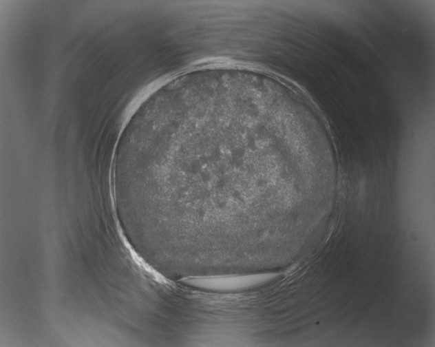 X0000085081247200703261250