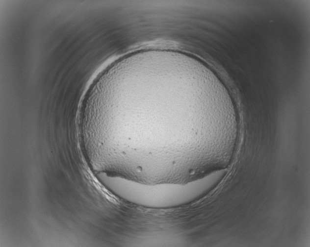 X0000085081248200703261250