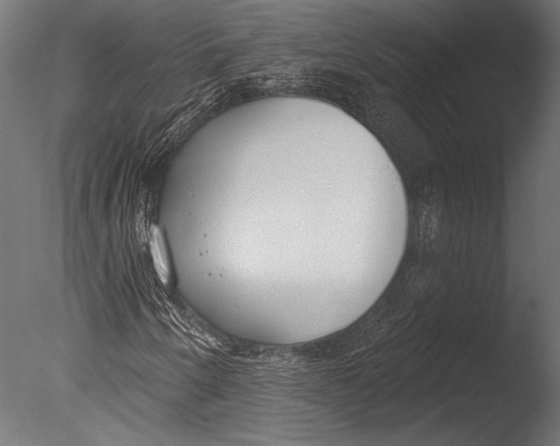 X0000085081250200703261249