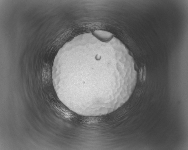 X0000085081251200703261249