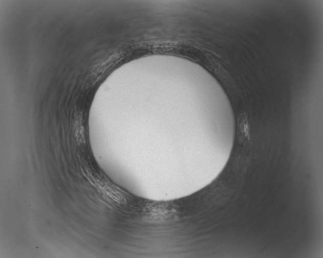 X0000085081252200703261249