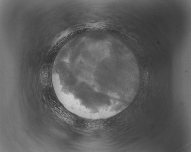 X0000085081254200703261249