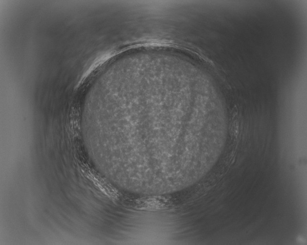 X0000085081255200703261249