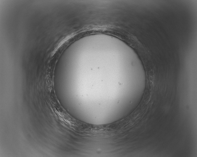 X0000085081256200703261249