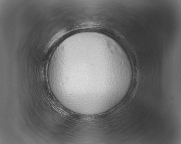 X0000085081259200703261249