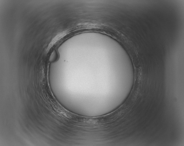 X0000085081261200703261249