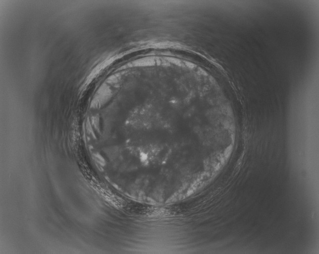 X0000085081263200703261249