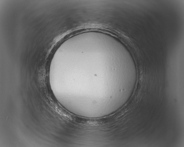 X0000085081264200703261249