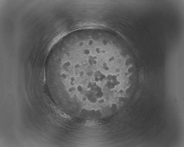 X0000085081267200703261248