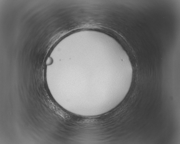 X0000085081268200703261248