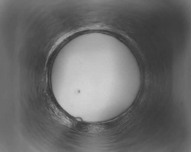 X0000085081270200703261248