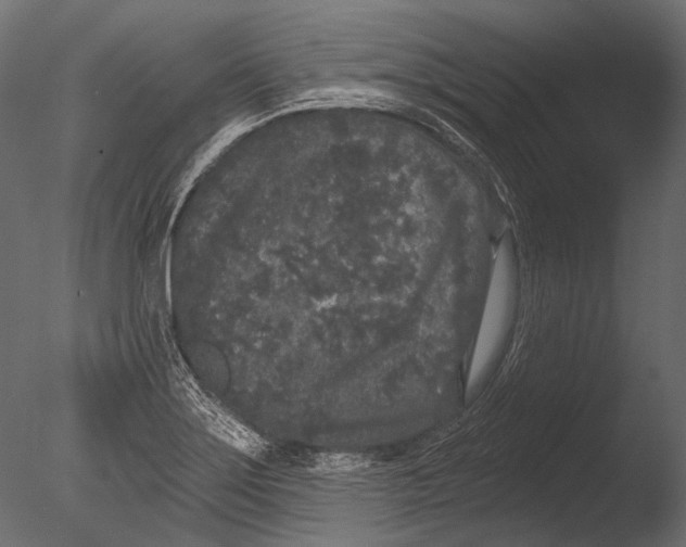 X0000085081275200703261248