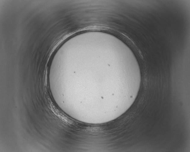 X0000085081276200703261248