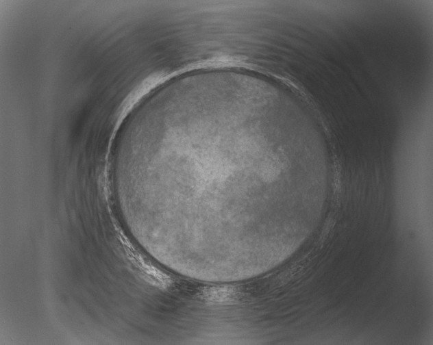 X0000085081278200703261248