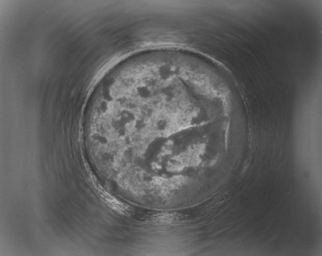 X0000085081279200703261248