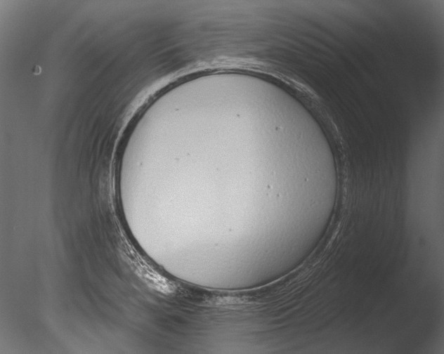 X0000085081280200703261248