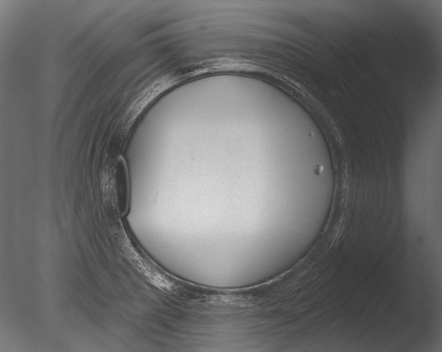 X0000085081281200703261248