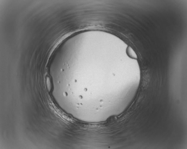 X0000085081284200703261248