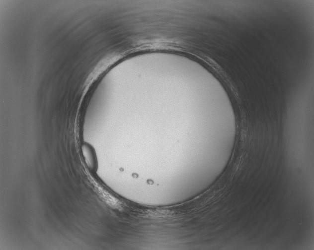 X0000085081285200703261248