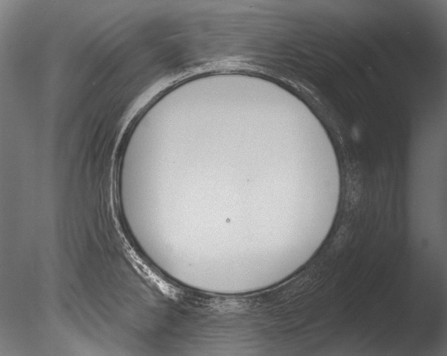 X0000085081286200703261248