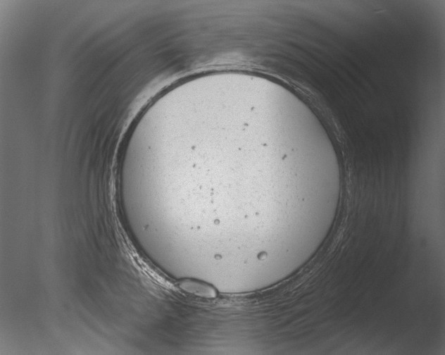 X0000085081288200703261248