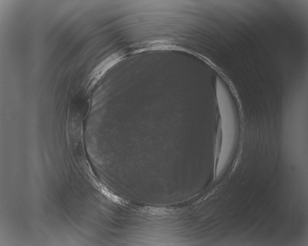 X0000085081289200703261248