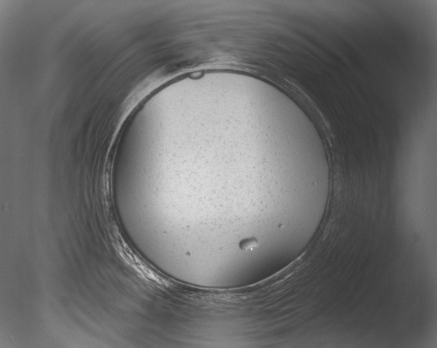 X0000085081292200703261248