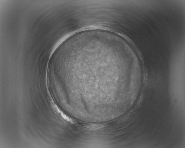 X0000085081294200703261248