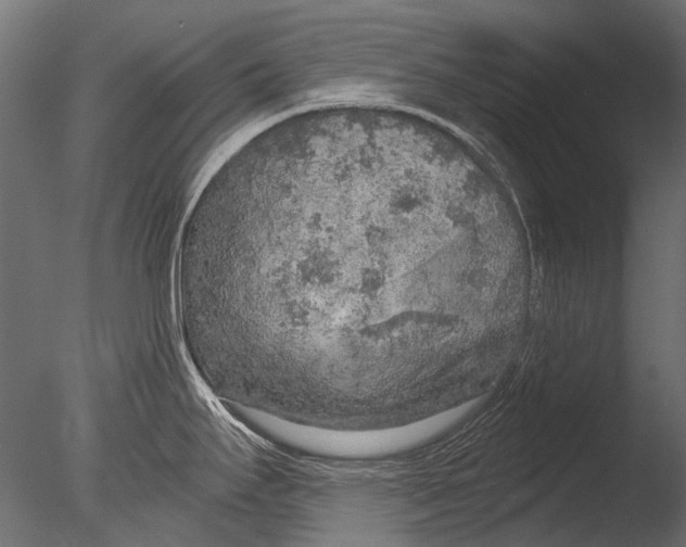 X0000085081295200703261248