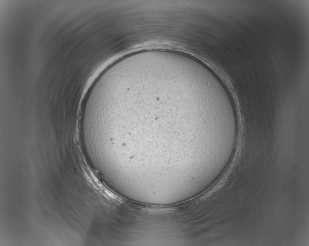 X0000085081296200703261248