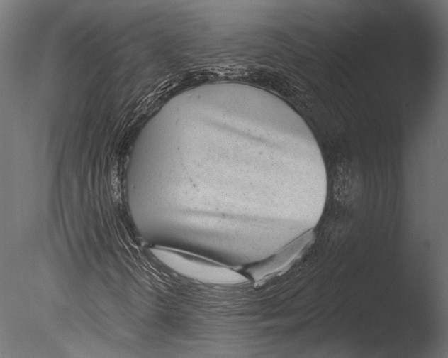 X0000085081298200703261247