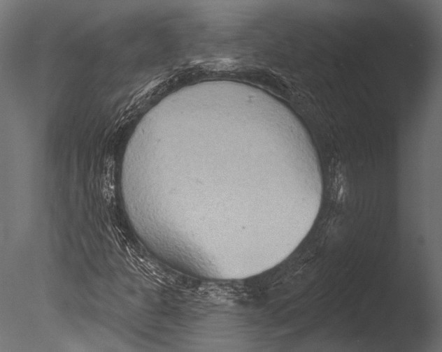 X0000085081301200703261247