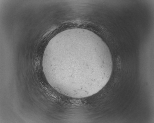 X0000085081302200703261247