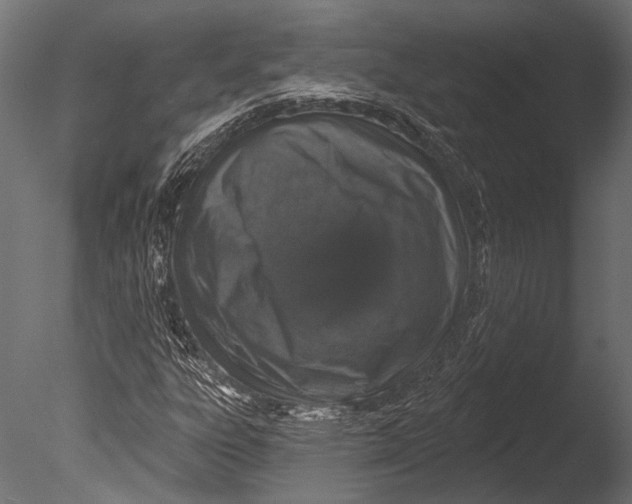 X0000085081303200703261247